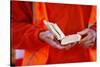 Young pilgrim reading the Bible, World Youth Day, Sydney, New South Wales, Australia, Pacific-Godong-Stretched Canvas