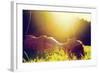 Young Pretty Woman Lying on the Grass at Summer Sunset-Michal Bednarek-Framed Photographic Print