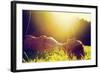 Young Pretty Woman Lying on the Grass at Summer Sunset-Michal Bednarek-Framed Photographic Print