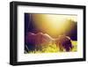 Young Pretty Woman Lying on the Grass at Summer Sunset-Michal Bednarek-Framed Photographic Print