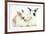 Young Rabbits Sharing a Blade of Grass-Mark Taylor-Framed Photographic Print