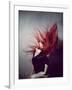 Young Redhead Throwing Head Back-Vania Stoyanova-Framed Photographic Print