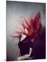 Young Redhead Throwing Head Back-Vania Stoyanova-Mounted Photographic Print