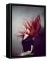 Young Redhead Throwing Head Back-Vania Stoyanova-Framed Stretched Canvas