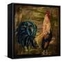 Young Rooster I-Jodi Monahan-Framed Stretched Canvas