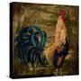 Young Rooster I-Jodi Monahan-Stretched Canvas
