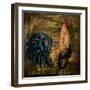 Young Rooster I-Jodi Monahan-Framed Art Print