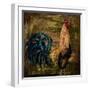 Young Rooster I-Jodi Monahan-Framed Art Print