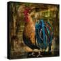 Young Rooster II-Jodi Monahan-Stretched Canvas