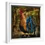 Young Rooster II-Jodi Monahan-Framed Art Print