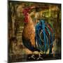 Young Rooster II-Jodi Monahan-Mounted Art Print