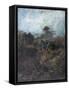 Young Routy Celeyran, 1882-Henri de Toulouse-Lautrec-Framed Stretched Canvas