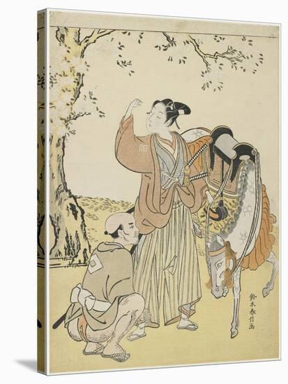 Young Samurai Viewing Cherry Blossoms as a Mitate of Prince Kaoru, C. 1767-Suzuki Harunobu-Stretched Canvas