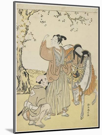 Young Samurai Viewing Cherry Blossoms as a Mitate of Prince Kaoru, C. 1767-Suzuki Harunobu-Mounted Giclee Print