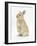 Young Sandy Rabbit Standing Up on its Haunches-Mark Taylor-Framed Photographic Print