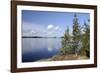 Young Scots Pine Trees (Pinus Sylvestris) Growing Near Rocky Shore of Lake Saimaa-Nick Upton-Framed Photographic Print