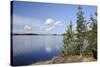 Young Scots Pine Trees (Pinus Sylvestris) Growing Near Rocky Shore of Lake Saimaa-Nick Upton-Stretched Canvas