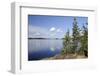 Young Scots Pine Trees (Pinus Sylvestris) Growing Near Rocky Shore of Lake Saimaa-Nick Upton-Framed Photographic Print