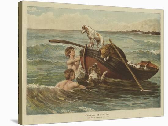 Young Sea Dogs-Samuel Edmund Waller-Stretched Canvas