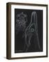 Young Sea Urchin (Larvae Echinus)-Philip Henry Gosse-Framed Giclee Print