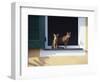 Young Somali Cat and Abyssinian Cat Sitting on Window Ledge, Italy-Adriano Bacchella-Framed Photographic Print