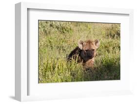 Young Spotted Hyena Hiding in the Grass-Circumnavigation-Framed Photographic Print