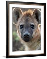 Young Spotted Hyena, Tanzania-Charles Sleicher-Framed Photographic Print