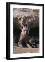 Young Spotted Hyenas-DLILLC-Framed Photographic Print