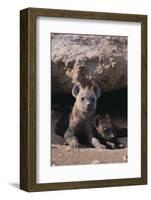 Young Spotted Hyenas-DLILLC-Framed Photographic Print