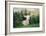 Young Spring Lamb lying in a field, Oxfordshire-John Alexander-Framed Photographic Print