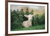 Young Spring Lamb lying in a field, Oxfordshire-John Alexander-Framed Photographic Print