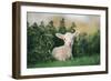 Young Spring Lamb lying in a field, Oxfordshire-John Alexander-Framed Photographic Print