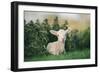 Young Spring Lamb lying in a field, Oxfordshire-John Alexander-Framed Photographic Print