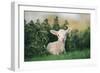 Young Spring Lamb lying in a field, Oxfordshire-John Alexander-Framed Photographic Print