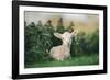 Young Spring Lamb lying in a field, Oxfordshire-John Alexander-Framed Photographic Print