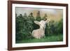 Young Spring Lamb lying in a field, Oxfordshire-John Alexander-Framed Photographic Print