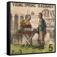 Young Spring Radishes!, Cries of London, C1840-TH Jones-Framed Stretched Canvas