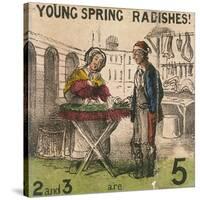 Young Spring Radishes!, Cries of London, C1840-TH Jones-Stretched Canvas
