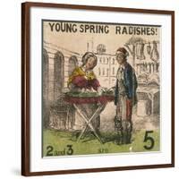 Young Spring Radishes!, Cries of London, C1840-TH Jones-Framed Giclee Print