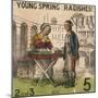 Young Spring Radishes!, Cries of London, C1840-TH Jones-Mounted Giclee Print