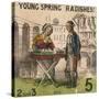 Young Spring Radishes!, Cries of London, C1840-TH Jones-Stretched Canvas