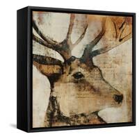 Young Stag-Kari Taylor-Framed Stretched Canvas