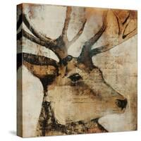 Young Stag-Kari Taylor-Stretched Canvas