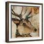 Young Stag-Kari Taylor-Framed Giclee Print