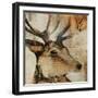 Young Stag-Kari Taylor-Framed Giclee Print