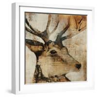 Young Stag-Kari Taylor-Framed Giclee Print