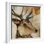 Young Stag-Kari Taylor-Framed Giclee Print