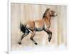 Young Stallion (Przewalski), 2014-Mark Adlington-Framed Premium Giclee Print