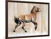 Young Stallion (Przewalski), 2014-Mark Adlington-Framed Premium Giclee Print