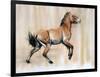 Young Stallion (Przewalski), 2014-Mark Adlington-Framed Premium Giclee Print